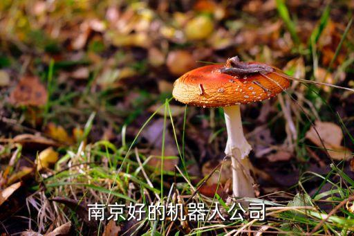 南京好的機(jī)器人公司