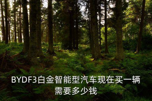 智能科技汽車多少錢一輛，BYDF3白金智能型汽車現(xiàn)在買一輛需要多少錢