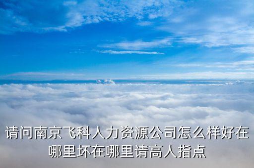 請(qǐng)問(wèn)南京飛科人力資源公司怎么樣好在哪里壞在哪里請(qǐng)高人指點(diǎn)