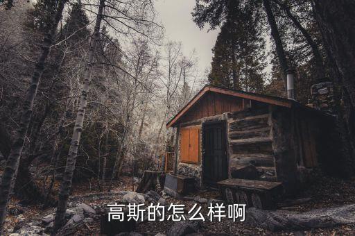 合肥高斯智能科技怎么樣，高斯的怎么樣啊