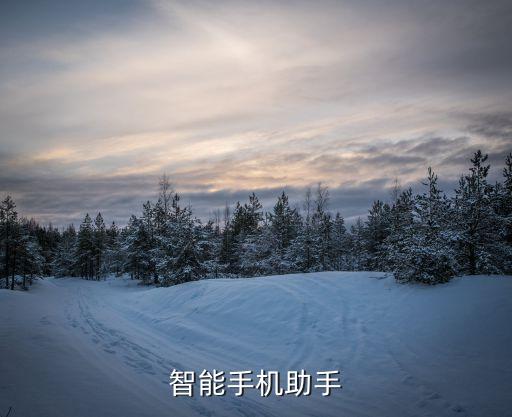 智能手機(jī)助手