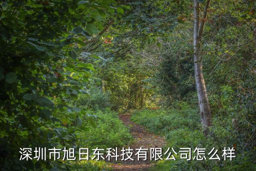旭日東智能科技怎么樣，天機(jī)工業(yè)機(jī)器人怎么樣有誰用過他們家機(jī)子么