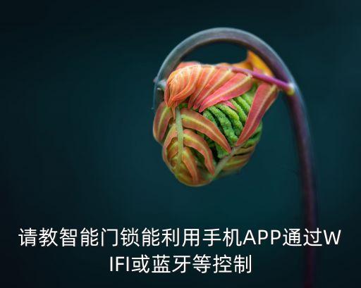 科技牛智能鎖怎么聯(lián)網(wǎng)，請教智能門鎖能利用手機APP通過WIFI或藍牙等控制