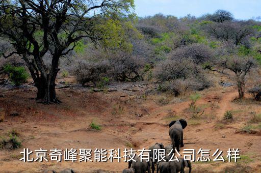 江宇智能科技怎么樣，北京奇峰聚能科技有限公司怎么樣