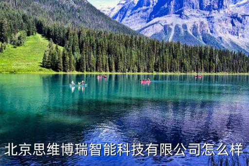 瑞思智能科技怎么樣，北京瑞思集團怎么樣