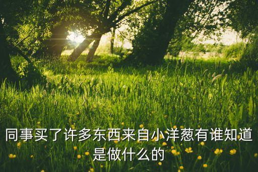 小洋蔥智能科技怎么樣啊，小洋蔥里的東西怎么樣他提倡的超級(jí)生活理念是怎樣的