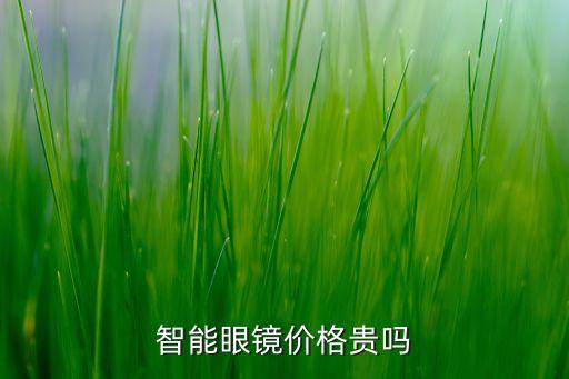 智能眼鏡價(jià)格貴嗎