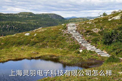上海劍羽智能科技怎么樣，上海洪劍智能科技有限公司怎么樣