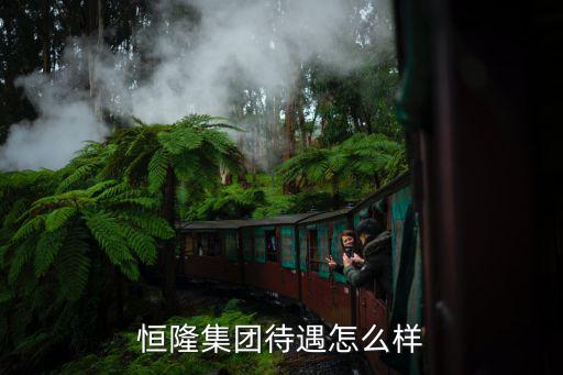 恒隆電氣智能科技怎么樣，恒隆集團(tuán)待遇怎么樣
