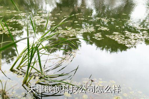 天津創(chuàng)圖智能科技怎么樣，天津的電子公司怎么樣