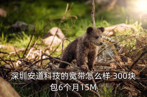 深圳安道智能科技怎么樣，深圳安道科技的寬帶怎么樣 300塊包6個月15M
