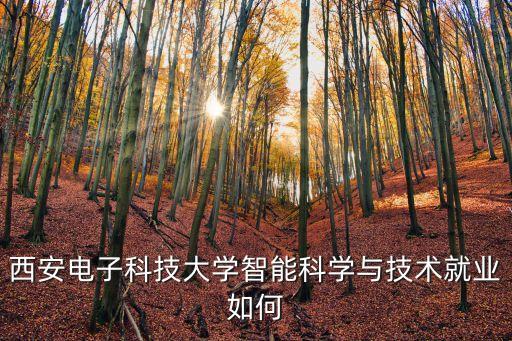 伍強(qiáng)智能科技收益怎么樣，請問武漢漢迪機(jī)器人科技有限公司怎樣待遇如何