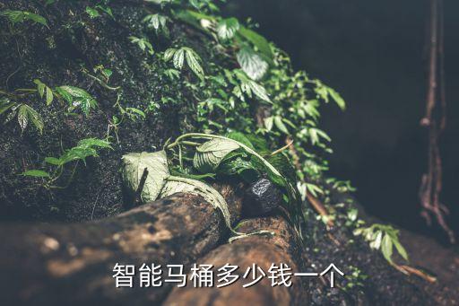 黑科技智能馬桶多少錢(qián)，智能馬桶一般多少錢(qián)