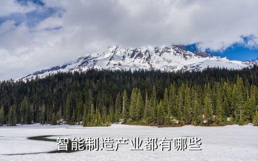 智能化科技產(chǎn)業(yè)有哪些，智能制造產(chǎn)業(yè)都有哪些