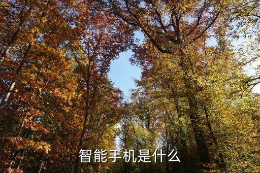 智能手機是什么科技成果，智能手機采用了現(xiàn)代人工智能技術的哪些成果