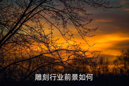 雕業(yè)智能科技怎么樣，深圳徽雕智能科技有限公司是做什么的在哪里