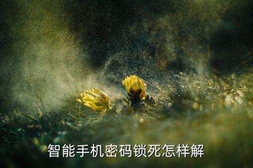 怎么樣解除火河科技智能鎖，智能機(jī)的密碼鎖怎么解