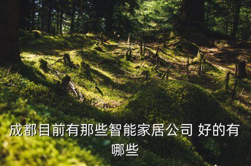 成都有多少家智能科技公司，成都有哪些通信電子等IT行業(yè)的高科技公司能多推薦幾個(gè)嗎謝謝了