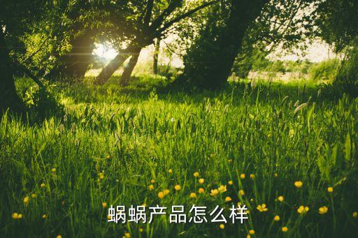 蝸蝸智能科技公司怎么樣，蝸蝸產(chǎn)品怎么樣