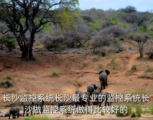 長沙聯(lián)旭智能科技怎么樣，長沙這里做智能影音公司好一些的是哪家呢