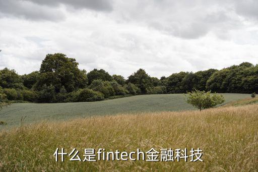 金融科技如何智能獲客，金融科技供應商賦能B端企業(yè)需要掌握幾種能力