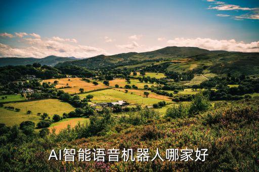 ai智能機器人，是否聽說過大麥機器人AI人工智能