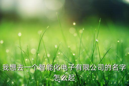 適合智能化的公司名字，智能科技公司起什么名字