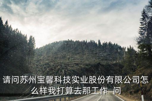 寶倉智能科技蘇州怎么樣，蘇州寶馨科技怎么樣