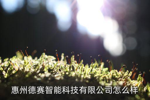 惠州德賽智能科技怎么樣，惠州德賽智能科技有限公司怎么樣
