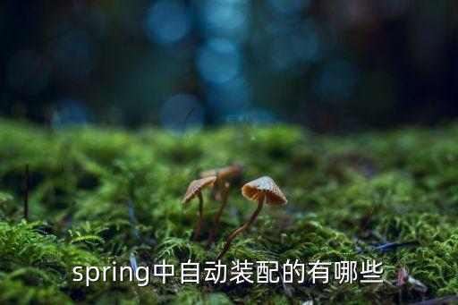 spring中自動裝配的有哪些