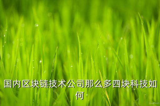 國內(nèi)區(qū)塊鏈技術(shù)公司那么多四塊科技如何