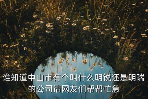 明瑞智能科技是做什么的，成都明瑞電子有限公司怎么樣