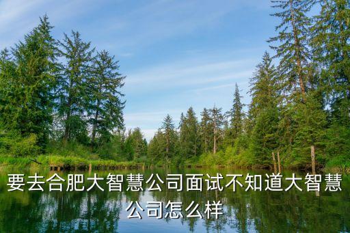 合肥合大智能科技怎么樣，合肥大智慧公司怎么樣明天去面試 糾結啊