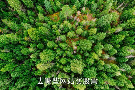 股票在哪個(gè)平臺(tái)買，股票交易平臺(tái)哪個(gè)好