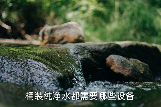 大型桶裝純凈水設(shè)備，大桶純凈水設(shè)備什么牌子的好
