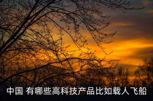 中國(guó) 有哪些高科技產(chǎn)品比如載人飛船