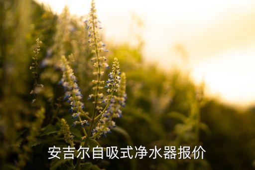 安吉爾直飲水機(jī)價(jià)格，安吉爾飲水機(jī)y2488lk多少價(jià)格