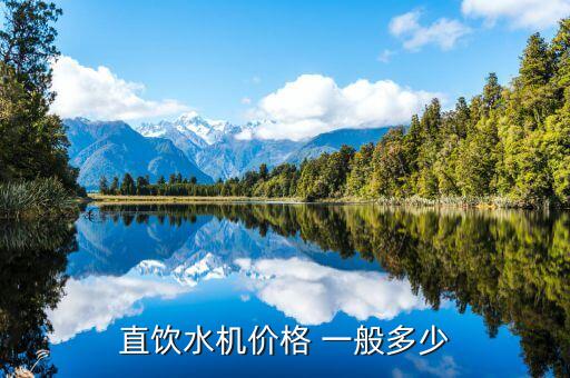 大型直飲水機多少錢一臺，直飲水機價格 大概多少