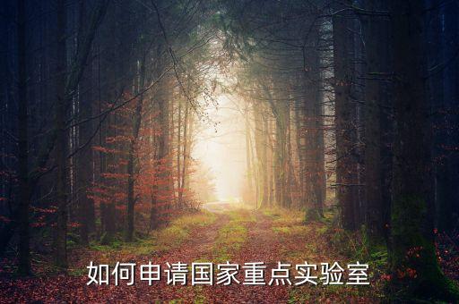 人工智能重點(diǎn)實(shí)驗(yàn)室申請(qǐng)書怎么寫，如何申請(qǐng)國(guó)家重點(diǎn)實(shí)驗(yàn)室