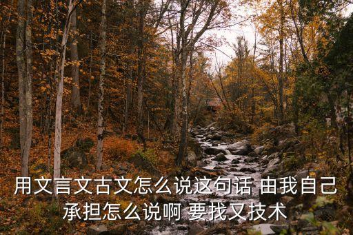 用文言文古文怎么說這句話 由我自己承擔(dān)怎么說啊 要找又技術(shù)