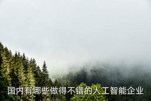 中國哪家公司人工智能比較厲害，國內(nèi)都哪些比較牛的人工智能公司