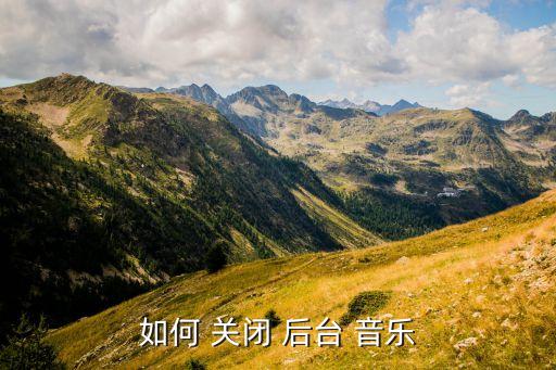 后臺(tái)音樂自動(dòng)關(guān)閉,蘋果手機(jī)后臺(tái)切換微信音樂會(huì)議自動(dòng)暫停