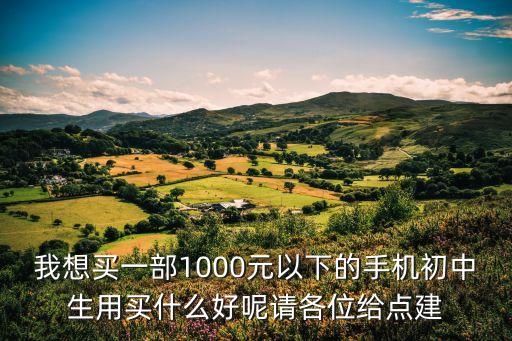 初中學(xué)生必備電子產(chǎn)品，有什么電子產(chǎn)品適合中學(xué)生只能學(xué)習(xí)完不了游戲的