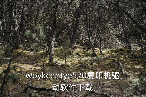 woykcentye520復(fù)印機(jī)驅(qū)動(dòng)軟件下載