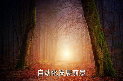 自動化發(fā)展的機遇與挑戰(zhàn)，智能制造為工程機械行業(yè)發(fā)展帶來怎樣的機遇和挑戰(zhàn)