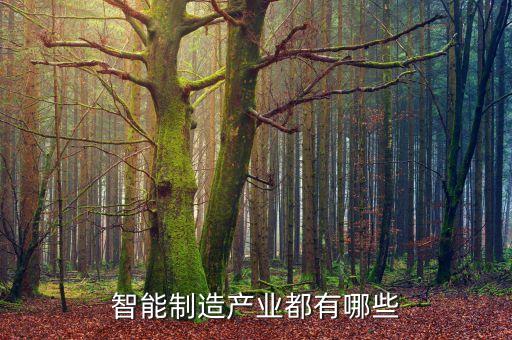 智能制造產(chǎn)業(yè)園簡介，智能制造產(chǎn)業(yè)都有哪些