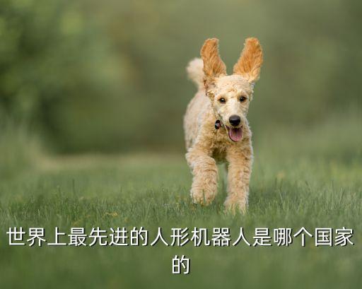 世界上最先進(jìn)的人形機(jī)器人是哪個(gè)國家的