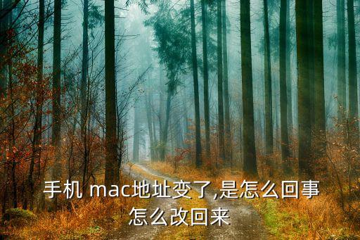  手機(jī) mac地址變了,是怎么回事怎么改回來(lái)