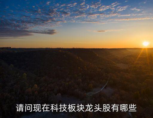 科技板塊龍頭股一覽表，科技股龍頭股票