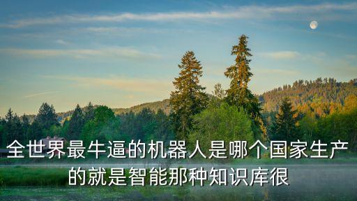 全世界最牛逼的機(jī)器人是哪個(gè)國家生產(chǎn)的就是智能那種知識(shí)庫很